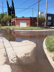 Desborde cloacal en Cerri