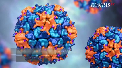 Polio Hanya Bisa Dicegah dengan Vaksin? Kenali Penyakitnya Berikut | SINAU