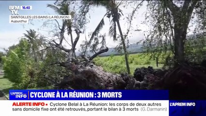 Video herunterladen: Cyclone Belal à La Réunion: les corps de deux autres sans-abris retrouvés, trois morts au total