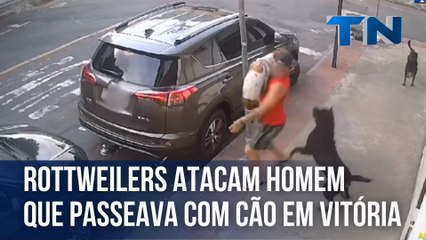 Rottweilers atacam homem que passeava com cachorro em Vitória