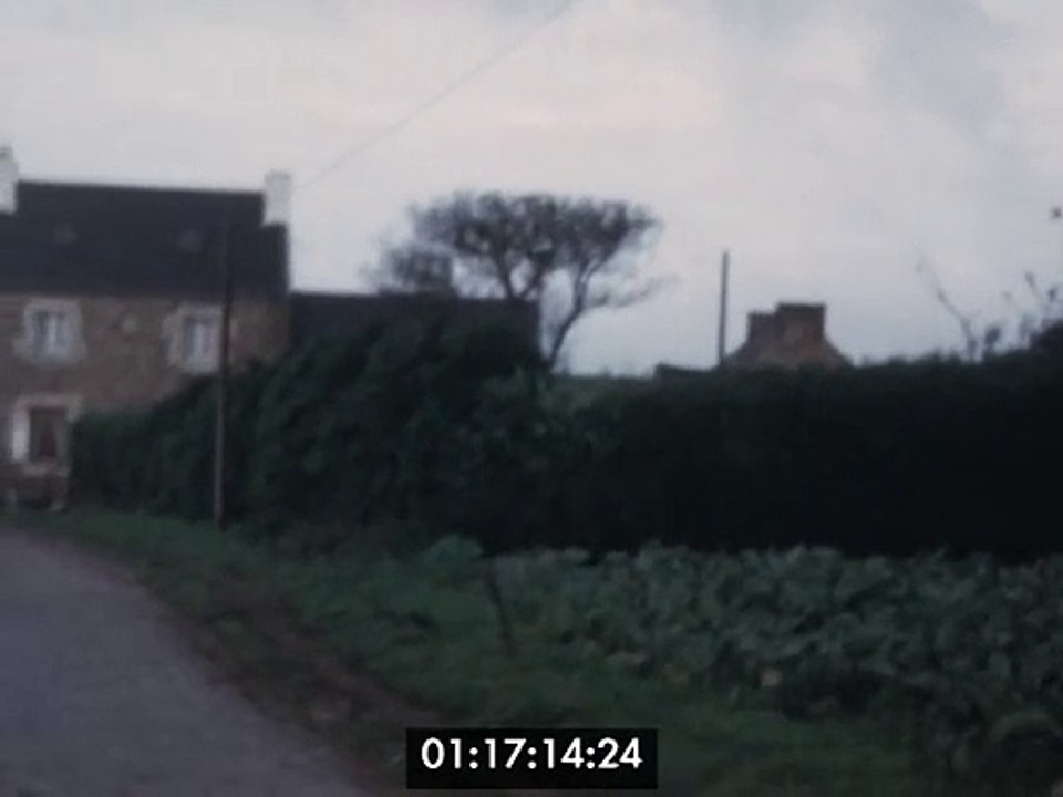 Roué Francis-Kerzu-Le chien Kiki