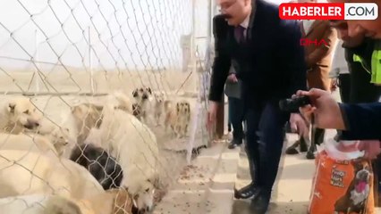 IĞDIR Valisi ve Belediye Başkan Vekili Ercan Turan, Hayvan Barınağını Ziyaret Etti