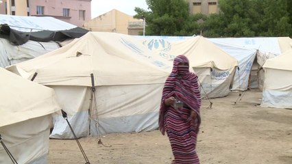 موجة النزوح بالسودان الأكبر في العالم بعد وصول أعداد النازحين إلى 7 ملايين شخص