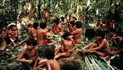 Amazon Jungle 5 Unsolved Mysteries