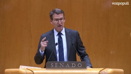Feijóo defiende el consenso para reformar la Constitución frente a quienes "la atacan y la burlan"