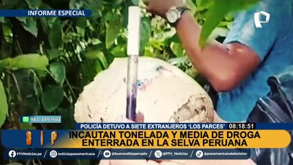Hallan tonelada y media de droga enterrada en selva peruana: cae banda criminal extranjera 'Los Parces'
