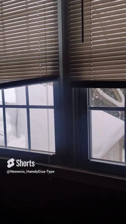 Workday Cancelled By Snow [1-16-2024]