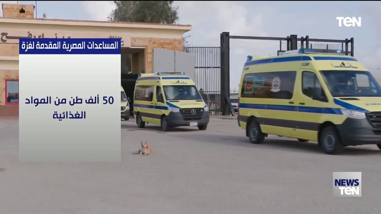 المساعدات المصرية المقدمة لغزة