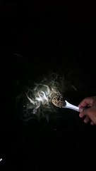 Pelet lenyap dalam hitungan detik❗Begitu cara makan bibit lele yang sehat