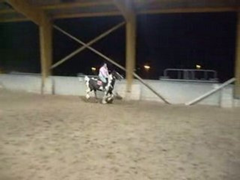 zozo sur le plat