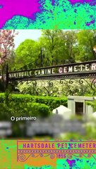 Muitas pessoas querem ser enterradas neste cemitério para animais