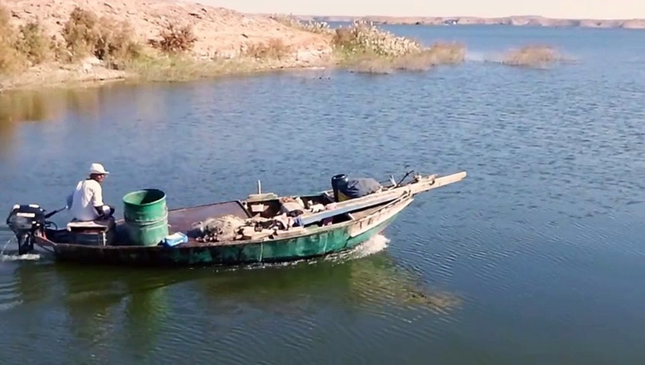 Out to fish