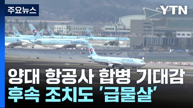 대한항공-아시아나 합병 기대감에 후속 조치 급물살 / YTN