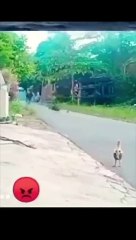 Funny_Animal_Videos_Of_The_Day_0050!__#fyp_#memes_#memedaily_#dankmemes(720p)