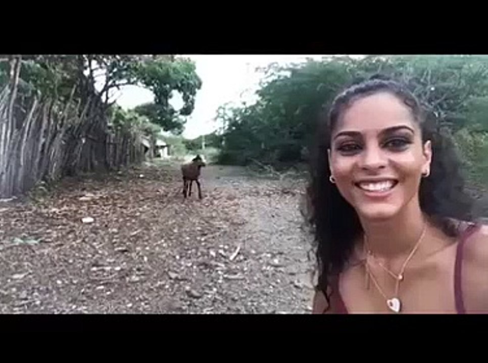 Wait for it - Funny Animals