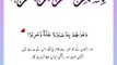 Quran , Al Quran Surah 76 Ayat 12 #viral #shorts #quran #youtubeshorts #ayat #plyghalatv #asadnisar #pilwaaltv