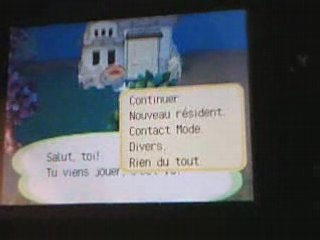 Ma vidéo test sur Animal Crossing Wild World NDS