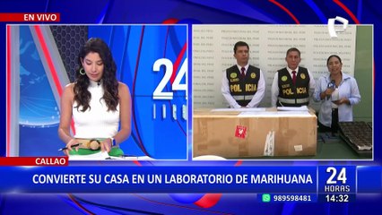 ¡Increíble! Sujeto convierte su casa en un laboratorio de marihuana en el Callao