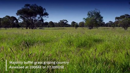 Oinmurra, Dirranbandi, Qld | January 17, 2024 | Farmonline