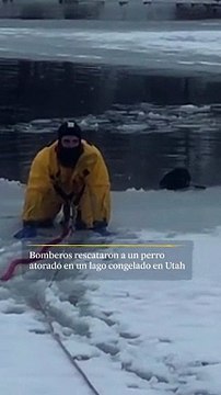 Bomberos rescatan a perro en lago congelado de Utah