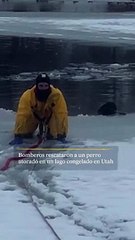 Bomberos rescatan a perro en lago congelado de Utah