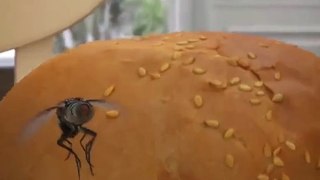Cookouts Cancelled All 2024- Did Y'all Know Flies Did This When Landing On Your Food!