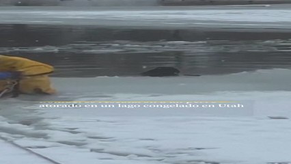 no l rescate de un perro en un lago congelado de Utah