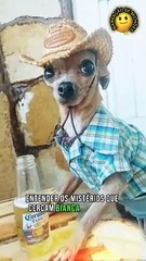 Caos Digital: Traições Explosivas com Bianca Fedorenta e Jacinto Cabeção - Uma Jornada Eletrizante!