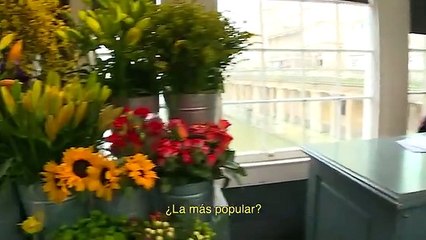 inglaterra 4 City Tour