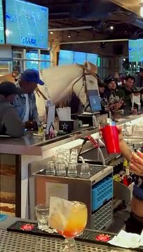 Horse Walks Into a Bar in Texas