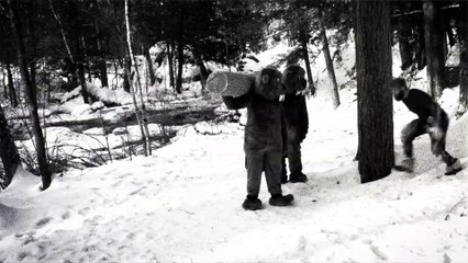 Hundreds of Beavers Film