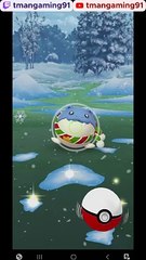 Pokémon GO-Holiday Spheal