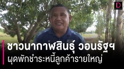 เดือดร้อนด้วย! ชาวนากาฬสินธุ์ วอนรัฐบาลผุดพักชำระหนี้ลูกค้ารายใหญ่ | HOTSHOT เดลินิวส์ 17/01/67