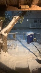 snowfall , Does it snow in your area ?! ❄️❄️☃️☃️️️