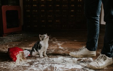 "Las cosas podrían ir terriblemente mal": Todas las tragedias que aún están por llegar