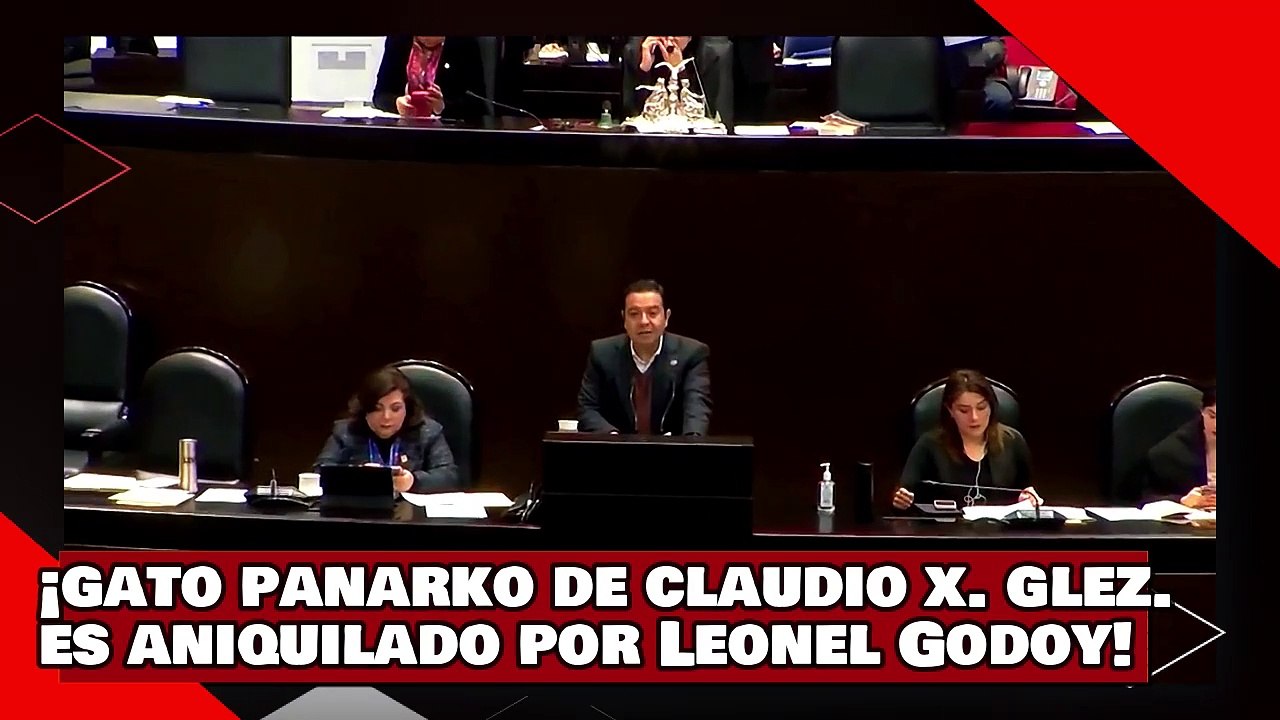 VEAN! ¡gato panarko de Claudio X. González es aniquilado por Leonel Godoy por atacar logros de AMLO!