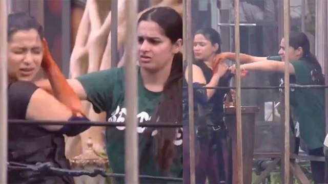 Bigg Boss 17: Mannara के T-Shirt में Ayesha ने डाली मिर्ची, Fans इस हरकत पर भड़कते हुए बोले...!