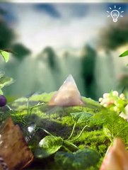 The art of selling vegetables