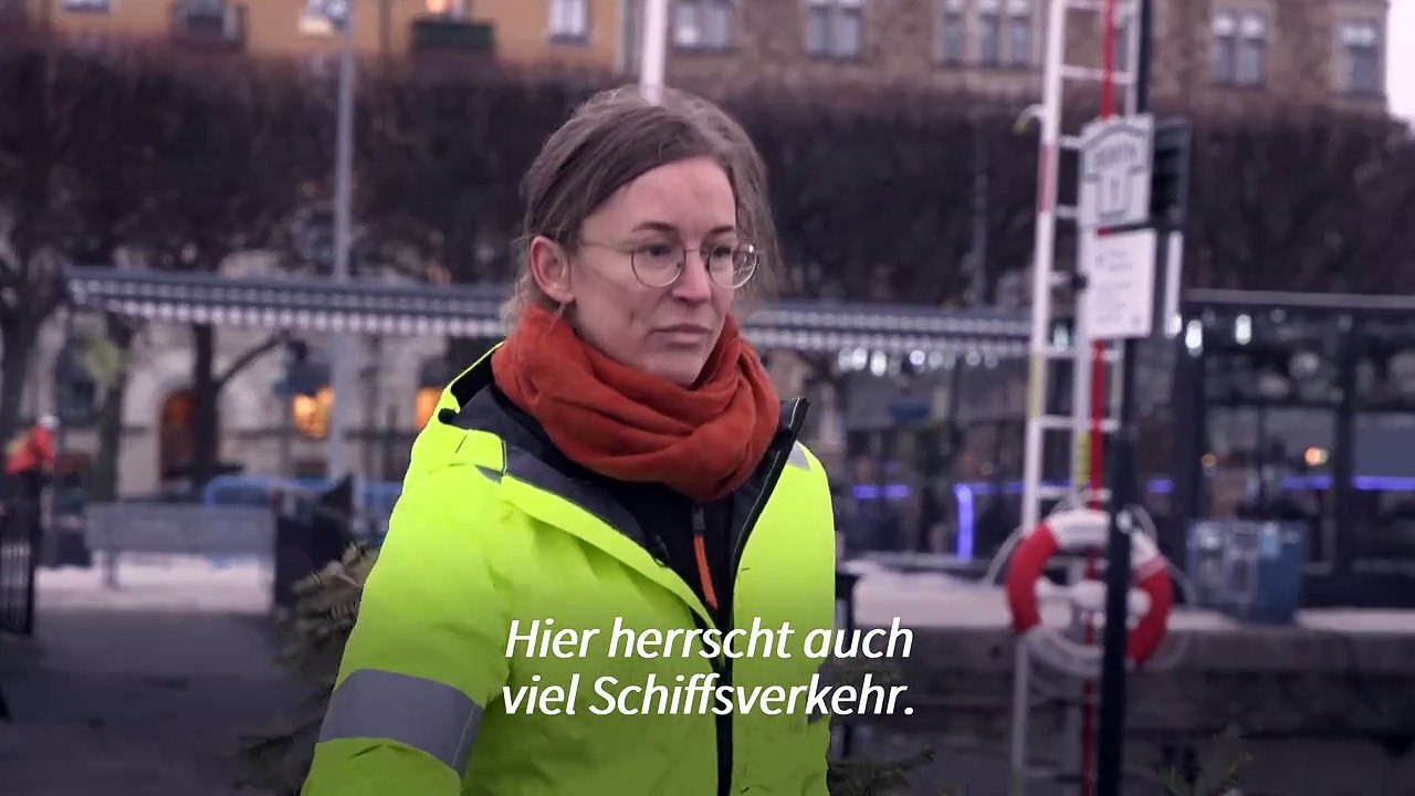 Weihnachtsbäume im Meer versenken - für die Biodiversität