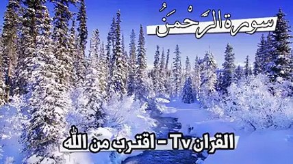 سورۃ الرحمٰن کی خوبصورت تلاوت Duniya Ki Haqeeqat | Heart Touching Islamic Reminder | Arabi Tilawat