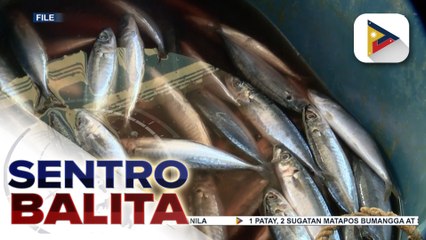 Presyo ng galunggong, posibleng bumaba sa mga susunod na buwan ayon sa DA