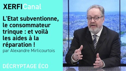 L'Etat subventionne, le consommateur trinque : et voilà les aides à la réparation ! [Alexandre Mirlicourtois]