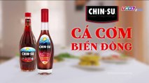 ĐÁNH CẮP SỐ PHẬN - TẬP 50 - PHIM VIỆT NAM THVL1 - XEM PHIM DANH CAP SO PHAN TAP 51