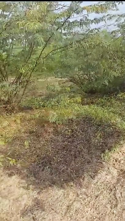खारी नदी के किनारे 800 टन बजरी का अवैध भंडारण जब्त