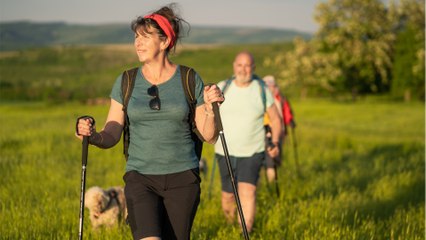 ✅ Die besten Trekkingstöcke im Test: Leicht, robust und einfach zerlegbar