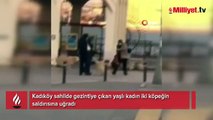 Yaşlı kadın köpeklerin saldırısına uğradı