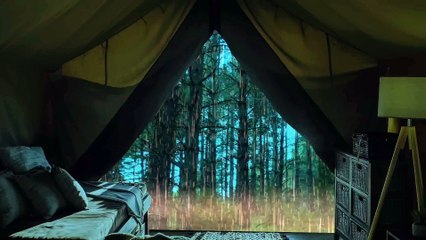 Rain Sound on Tent 30 Min Rain sounds for sleep