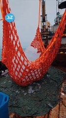 Ancient Greenland Ice Arrives in Dubai 🌍 — Over 100,000 Years Old!