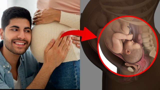 Which Week Baby Heartbeat Starts | Bacche Ke Dil Ki Dhadkan Kab Aati Hai | Boldsky