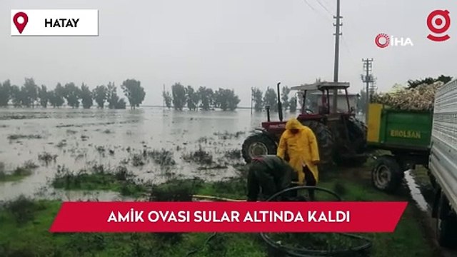 Hatay’da aşırı yağışlarla birlikte Amik Ovası sular altında kaldı